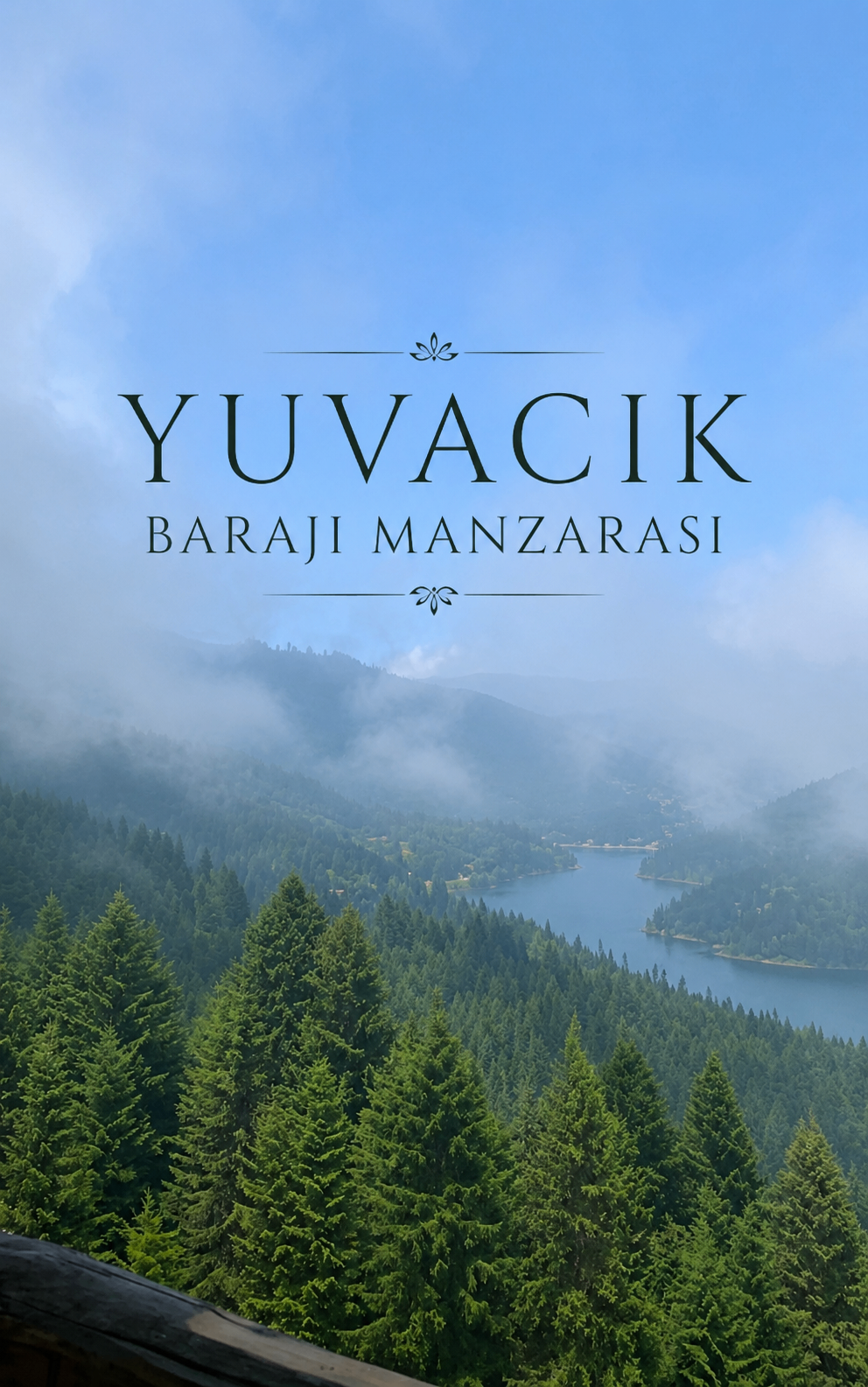 Çam ormanları arasındaki Kirazdere Barajı manzarası